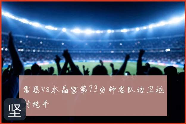 雷恩vs水晶宫第73分钟客队边卫远射绝平